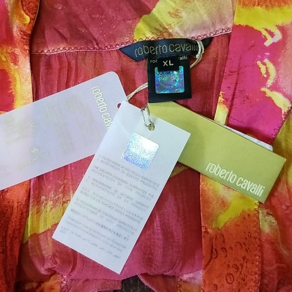 Stunning Roberto Cavalli Multicolor Sheer Silk Top - Picture 8 of 8